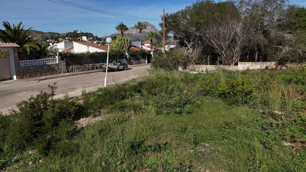plot in Javea