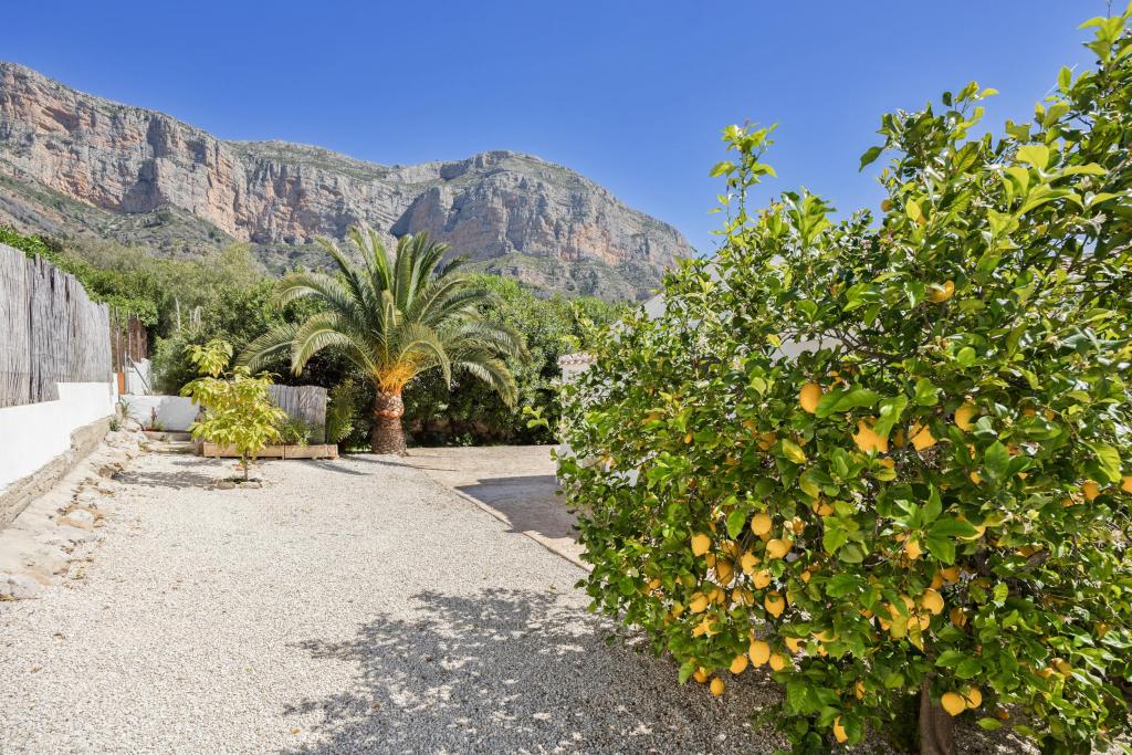 4 bed villas in Javea