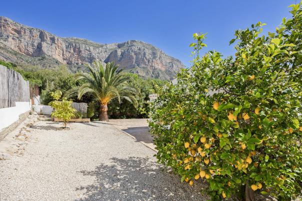 4 bed villas in Javea