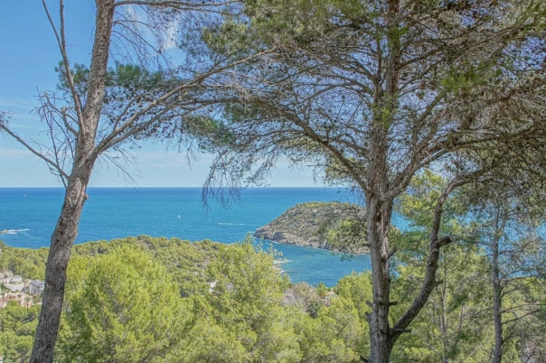 plot in Jávea