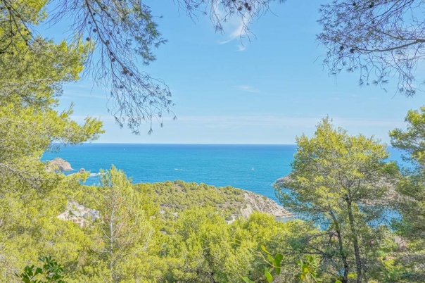 plot in Jávea