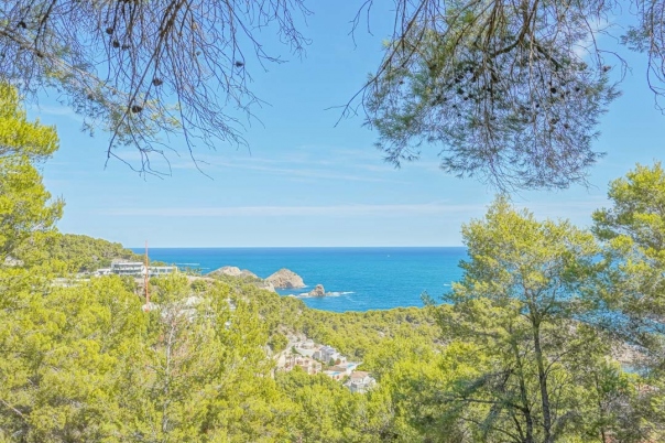 plot in Jávea