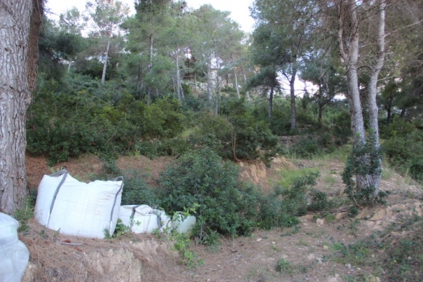 plot in Jávea