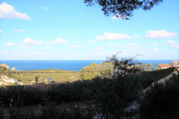 plot in Jávea