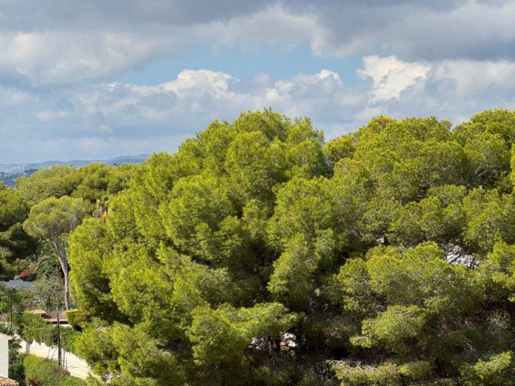 3 bed villa in Moraira