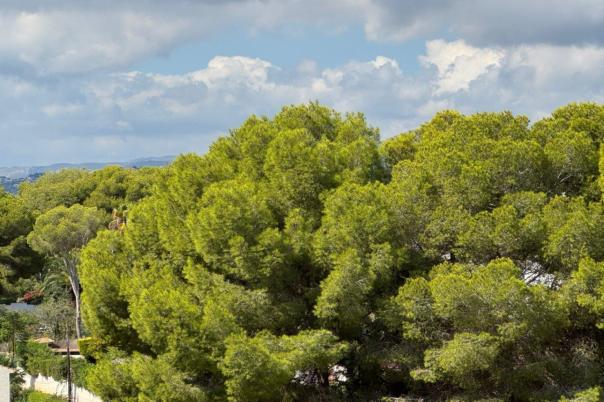 3 bed villa in Moraira