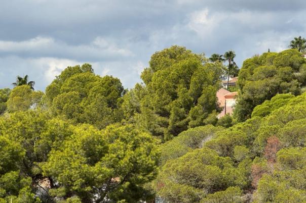 3 bed villa in Moraira
