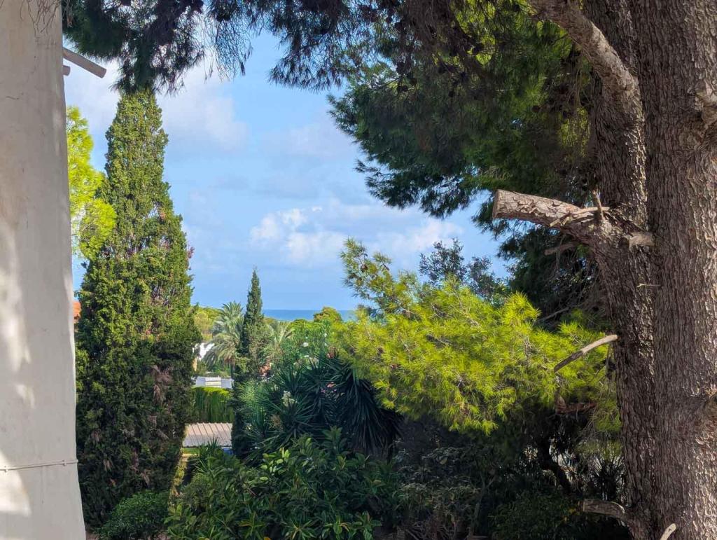 2 bed villa in Denia
