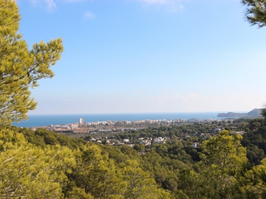 plot in Jávea