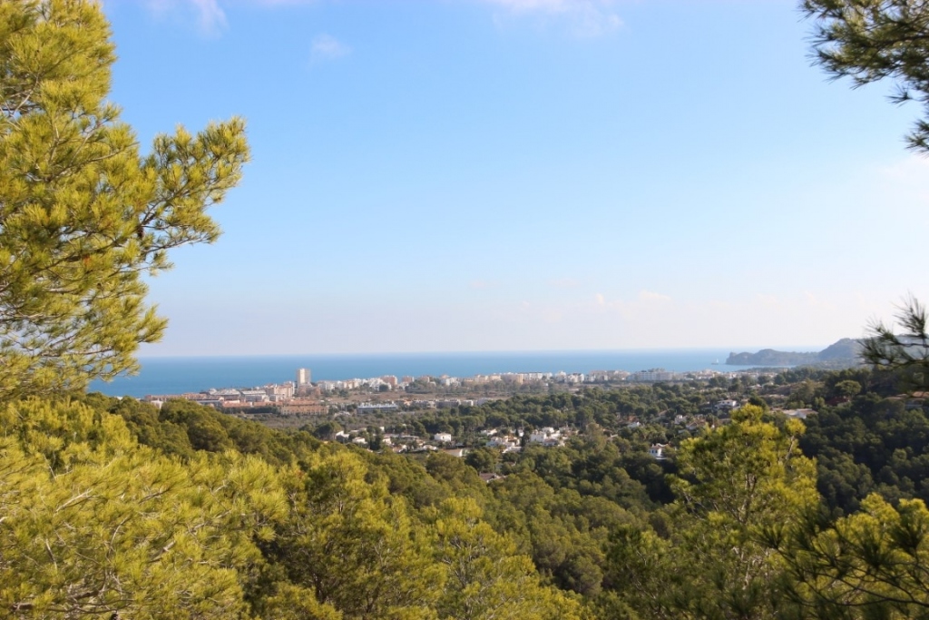 plot in Jávea