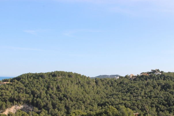 plot in Jávea