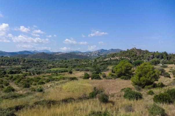 2 bed villa in Jesús Pobre