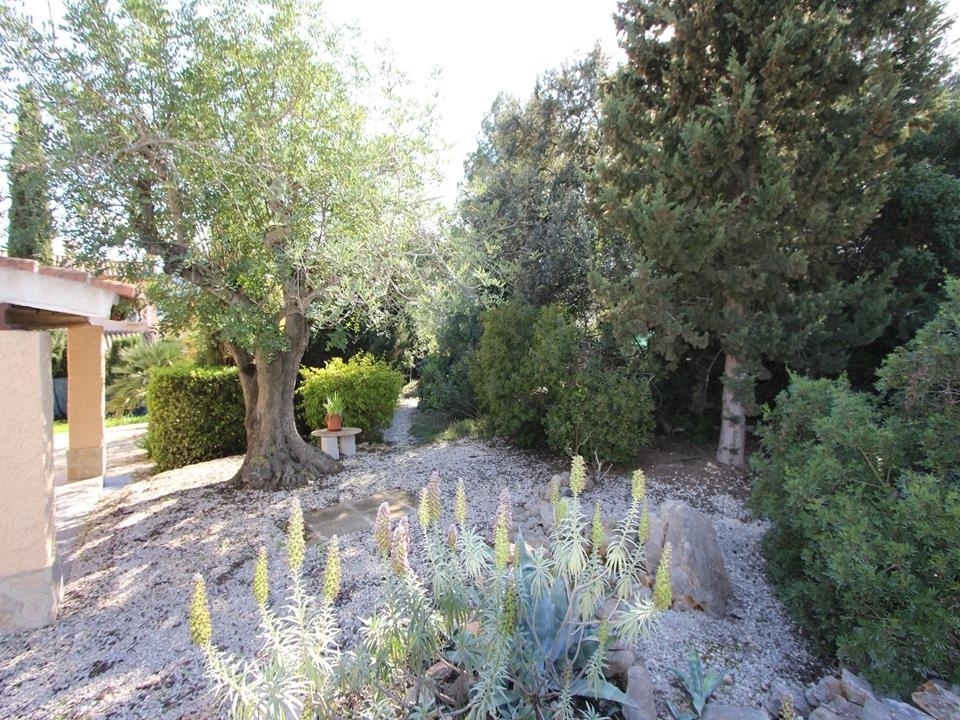 10 bed villa in Jalón
