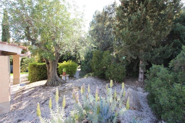 10 bed villa in Jalón