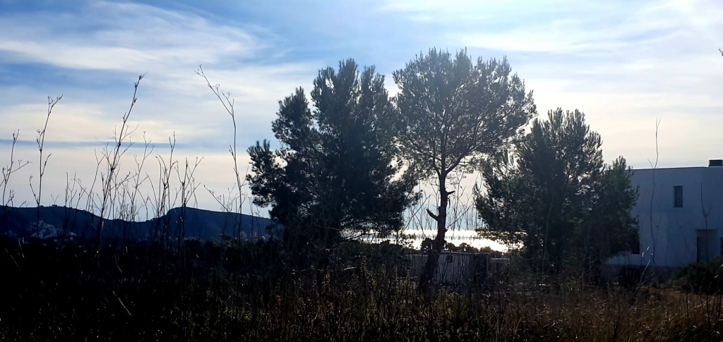 plot in Moraira