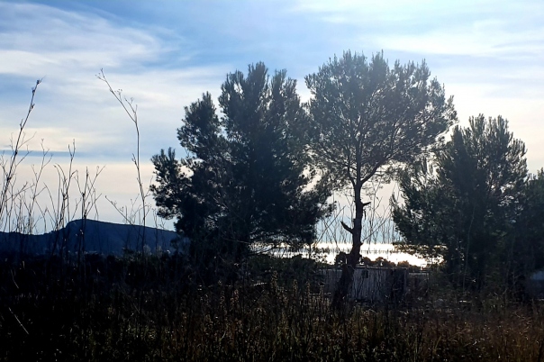 plot in Moraira