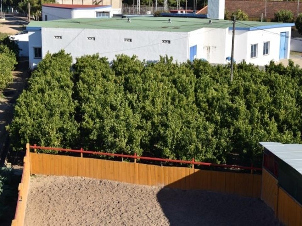 plot in Els Poblets