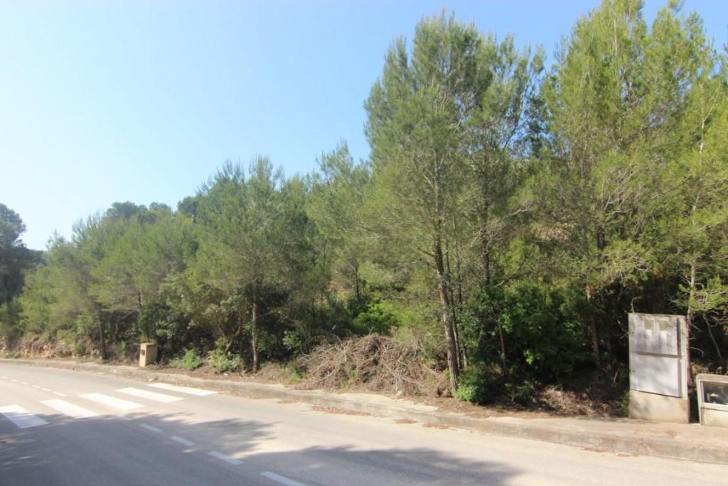 plot in Jávea