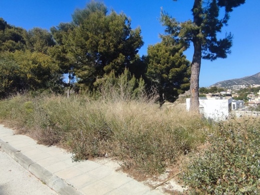 plot in Moraira