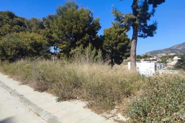 plot in Moraira