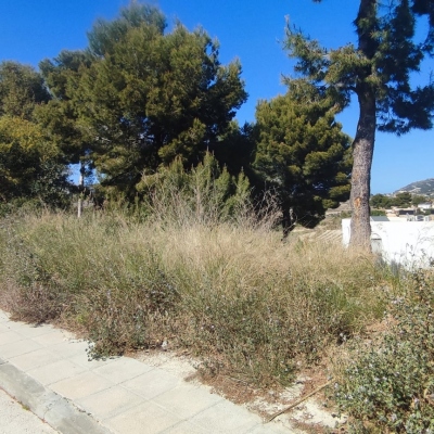 plot in Moraira