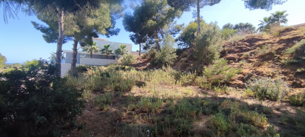 plot in Moraira