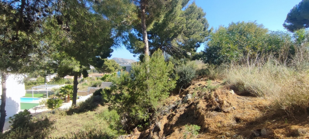 plot in Moraira