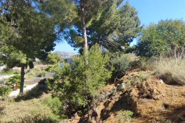 plot in Moraira