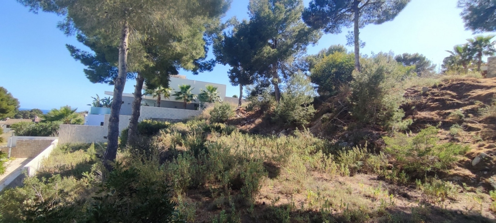 plot in Moraira