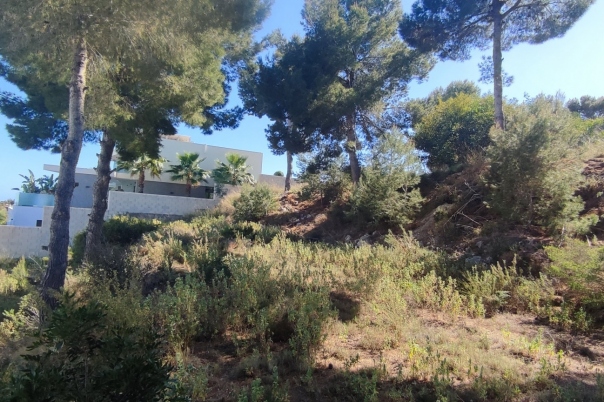 plot in Moraira