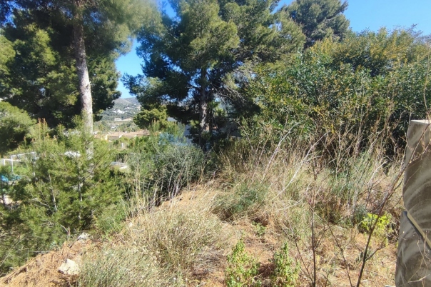 plot in Moraira