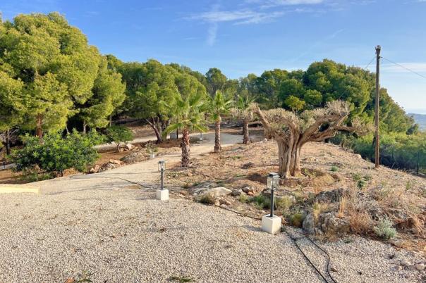 5 bed villas in Altea