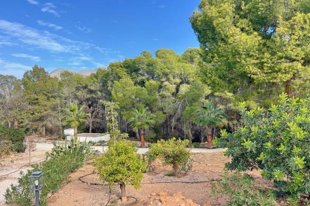 5 bed villas in Altea
