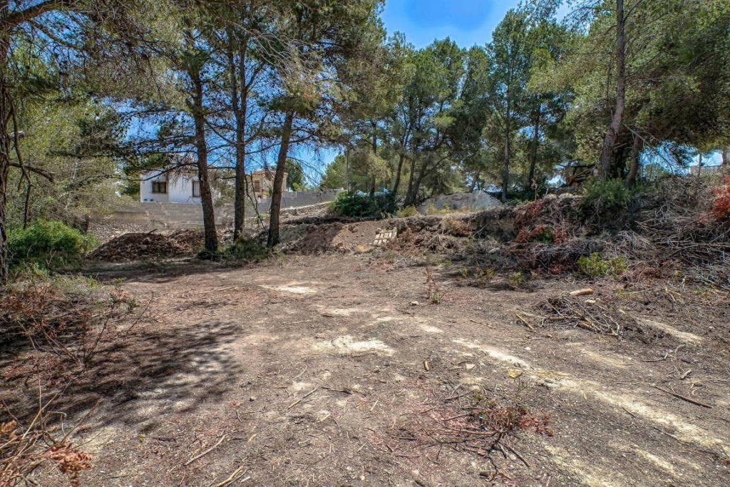 plot in Moraira