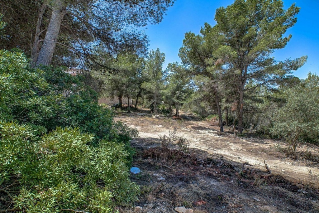 plot in Moraira