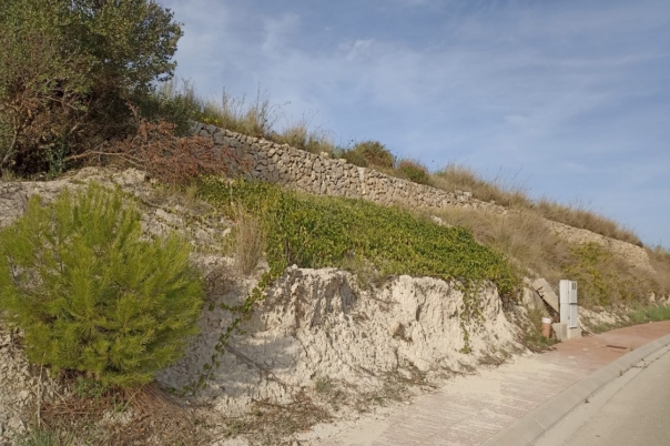 plot in Benissa