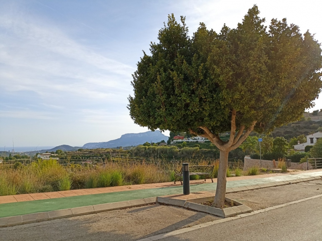 plot in Benissa