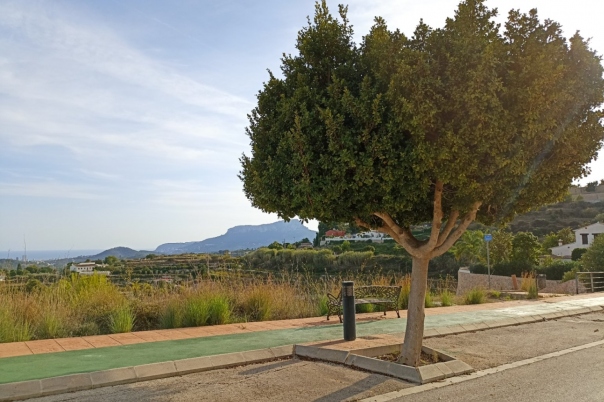 plot in Benissa
