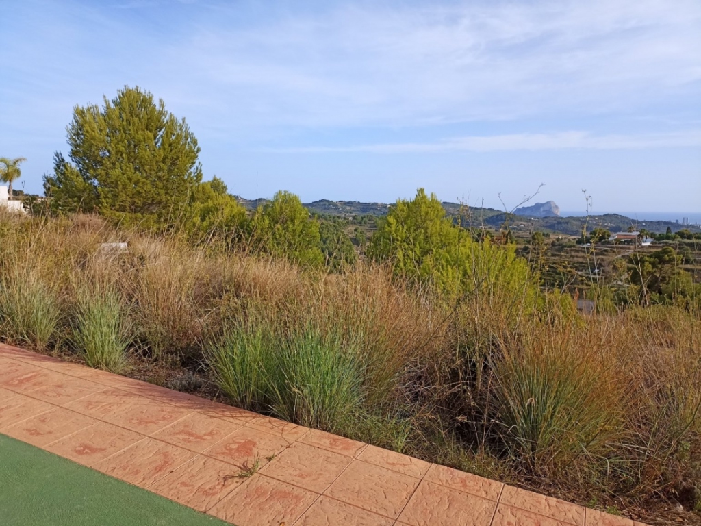 plot in Benissa