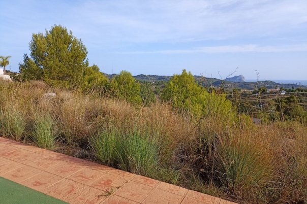 plot in Benissa