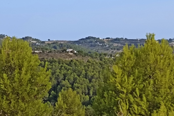 plot in Benissa