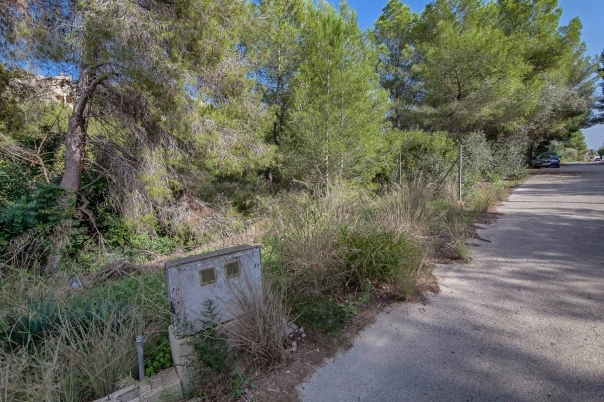 plot in Benissa