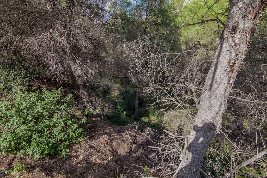 plot in Benissa