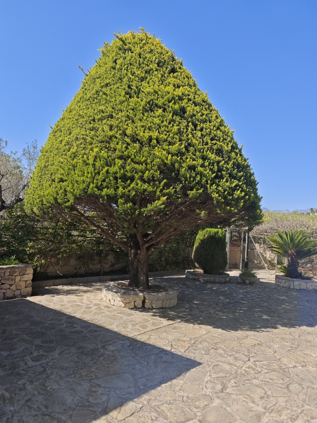 7 bed villa in Benissa