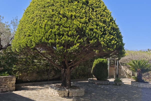7 bed villa in Benissa