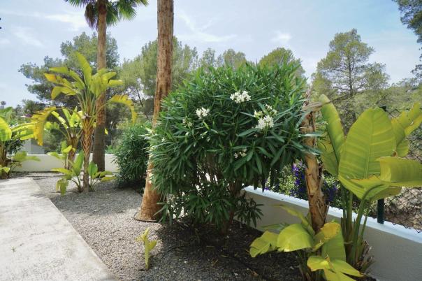 3 bed villas in Benissa
