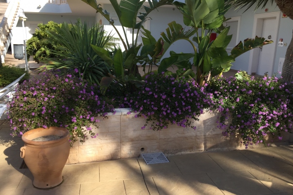 2 bed apartment in Benissa