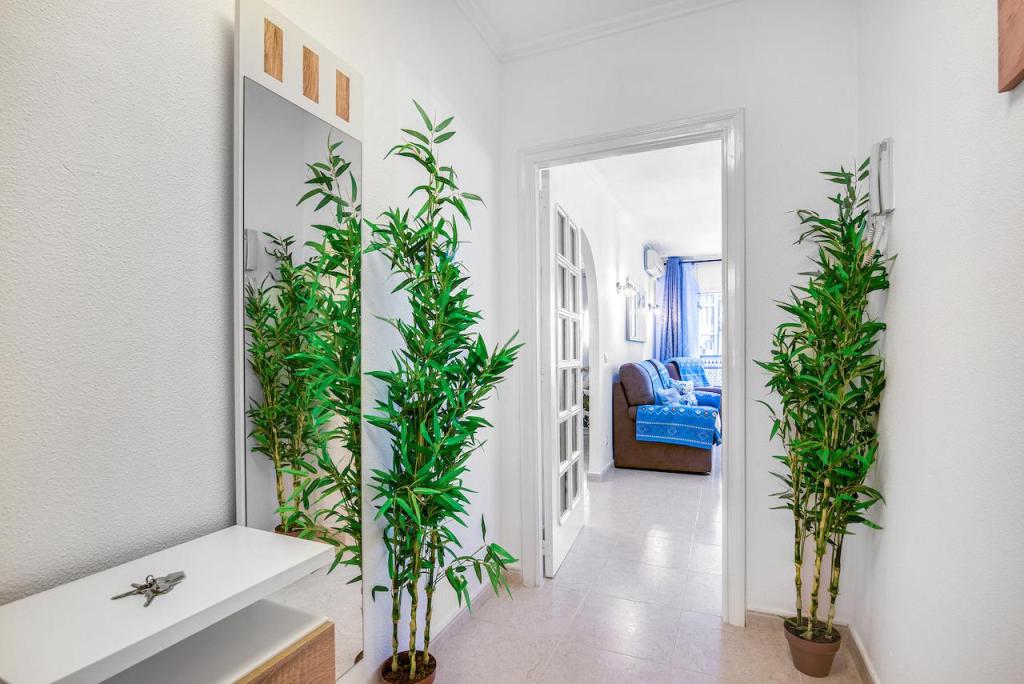 2 bed apartment in Calpe