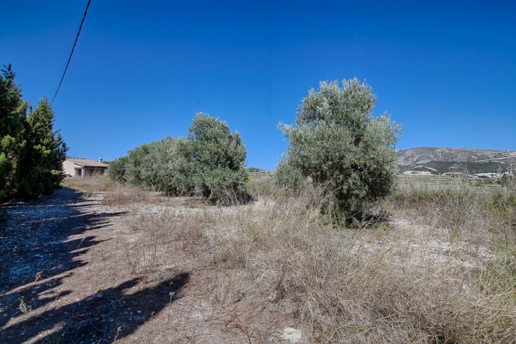 5 bed finca in Moraira