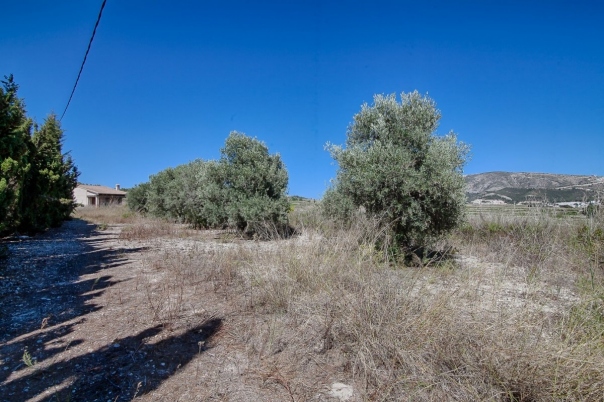 5 bed finca in Moraira